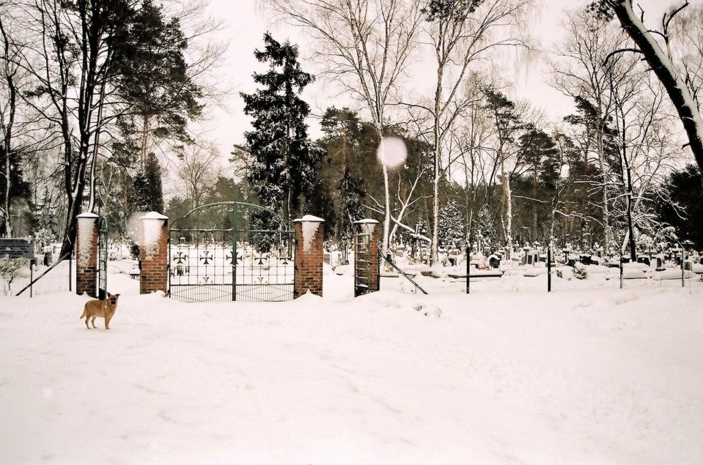 zakład pogrzebowy warszawa